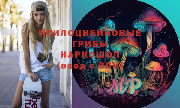 мяу мяу мука Вяземский