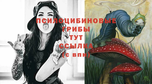 ECSTASY Гусь-Хрустальный